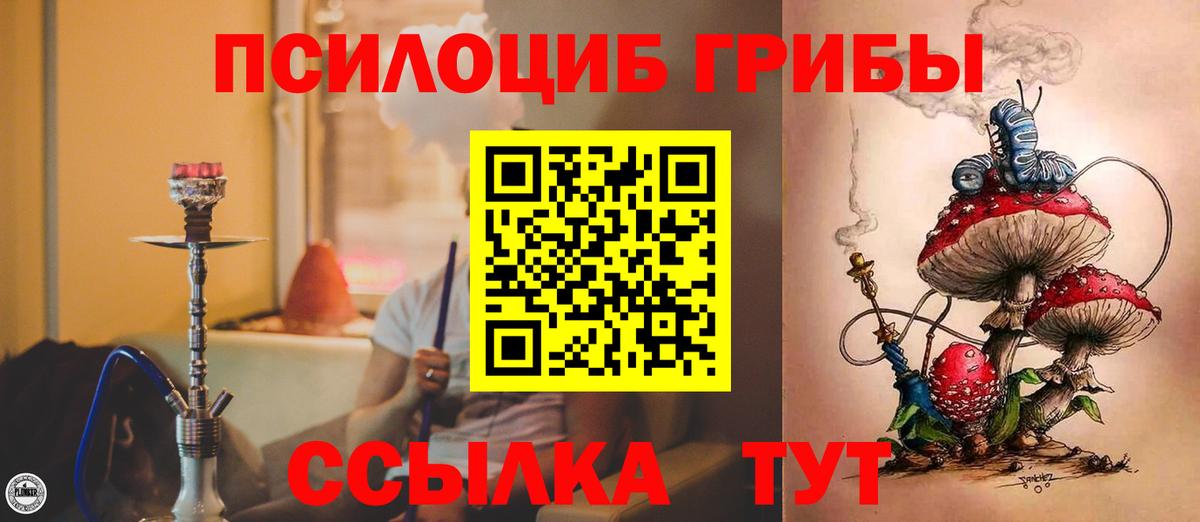 Псилоцибиновые грибы Cubensis  Вход с VPN  Сосновоборск 